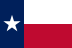 Texas state record (TxDMV)